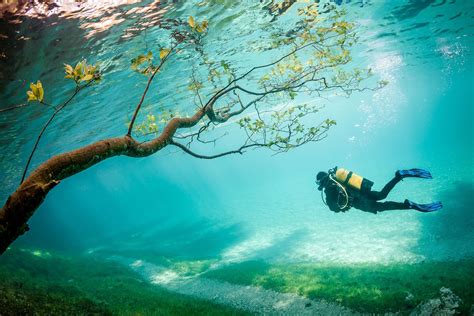 Beautiful Underwater Ocean Scenery