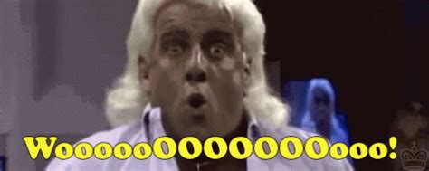 Ric Flair Woo GIF - Ric Flair Woo Shout - Discover & Share GIFs