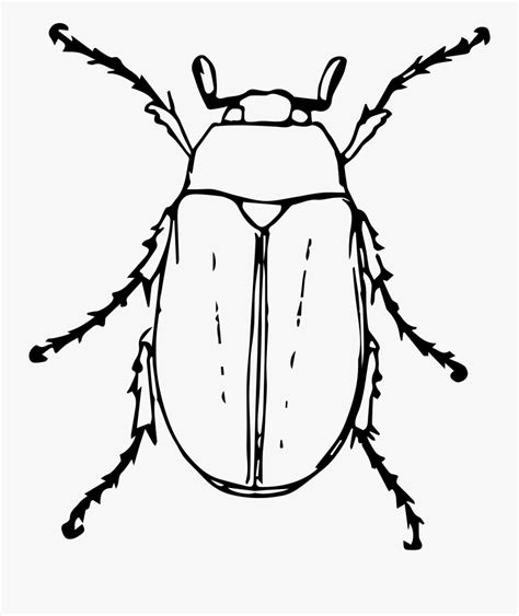 Beetle, Clipart black and white, Clip art