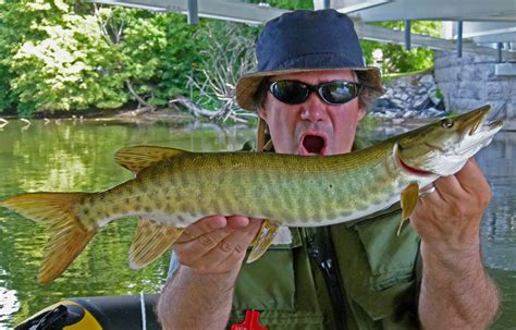 Muskellunge Mike B | www.roughfish.com