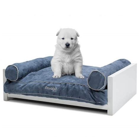 Top 8 Best Fancy and Luxury Dog Beds 2022 - Dog Bed Zone