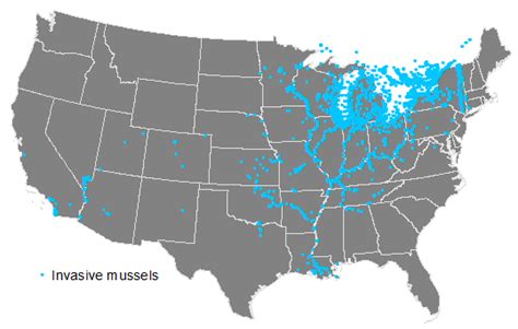 Exploring spatial and temporal patterns of invasive aquatic species ...