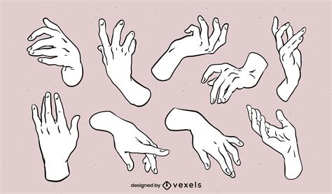 Hands Posing For Anatomy Drawing Set Vector Download