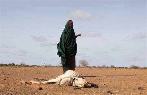 Famine propelled by conflict and climate change threatens millions in ...