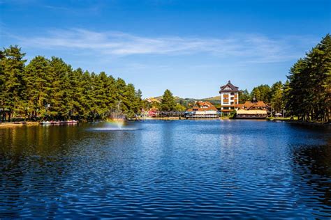 Zlatibor Lake - Zlatibor, Serbia, Europe Stock Photo - Image of green ...