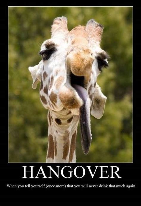 50 Top Hangover Meme That Make You So Much Laugh | QuotesBae