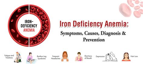 Iron Deficiency Anemia: Symptoms, Causes, Diagnosis & Prevention ...