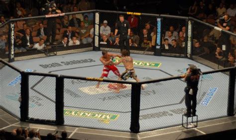 What’s the UFC Octagon Size & Why Do They Use It? (W/ Tables)