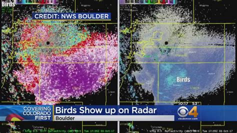 Migrating Birds Show Up On Weather Radar - YouTube