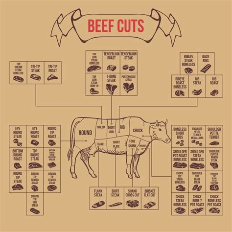 Beef Cuts On A Cow: A Guide For Home Butchering