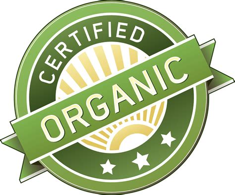 How is Organic Food Different from Other Food?