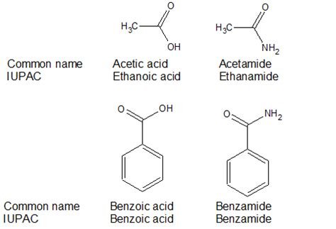 Amide Examples