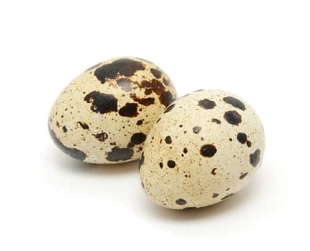 Quail Eggs – Simply Rawsome