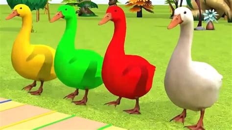 Anak bebek lucu berenang - YouTube