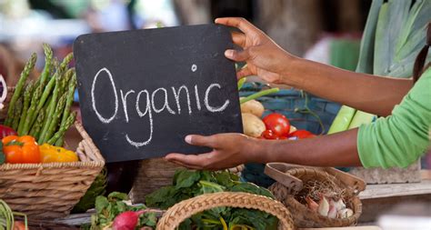 Organic food starts to prove its worth | Science News for Students