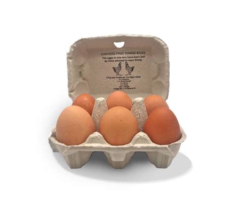 Free Range Eggs (pack of 6 large) – Great Park Farm