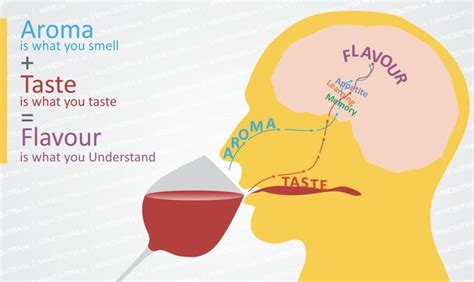 5 Senses: The importance of the sense of Taste - Horizon Project INC