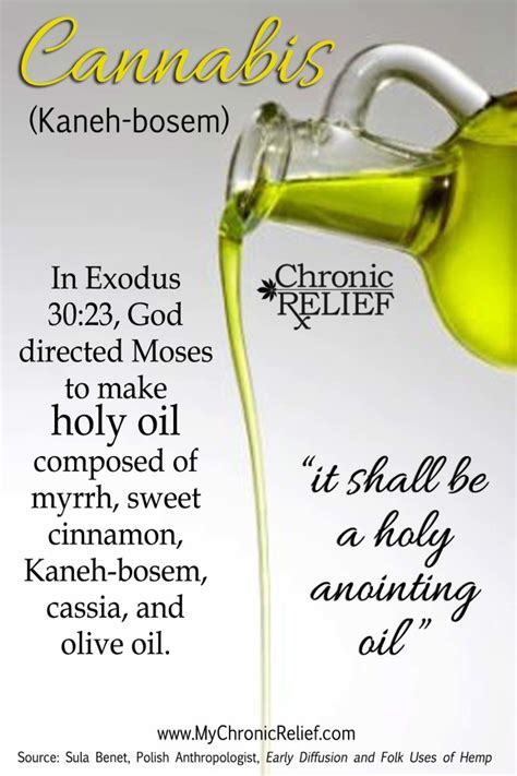 Cannabis Ingredient of Holy Anointing Oil - Chronic Relief | What is ...