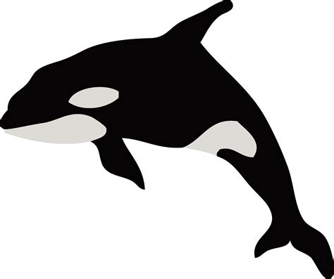 Killer Whale Clipart - Transparent Killer Whale Silhouette - Png ...