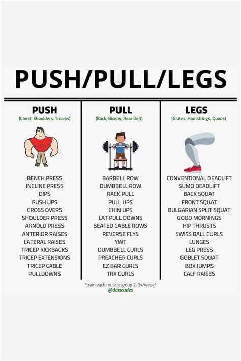 PUSH/PULL/LEGS EXERCISES LIST | Workout program gym, Push day workout ...