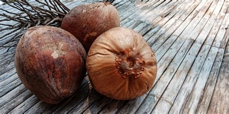 Buah Kelapa Tua Coklat Foto Stok - Unduh Gambar Sekarang - Alam, Asia ...