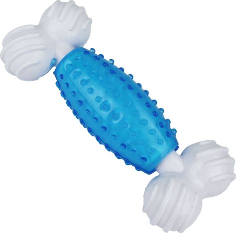 Multipet Canine Clean Mint Bone Dog Chew Toy, Blue - Chewy.com