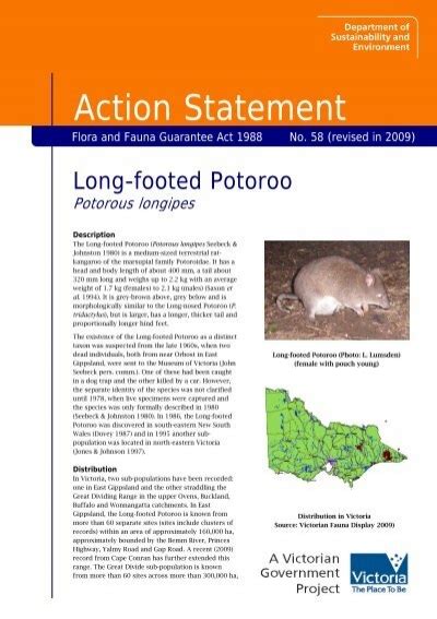 Long-footed Potoroo - Department of Sustainability and Environment