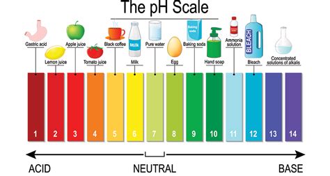 Scientists Say: pH