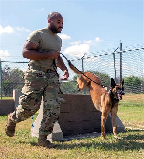 Military Working Dogs: JBSA’s four-legged defenders > Air Education and ...