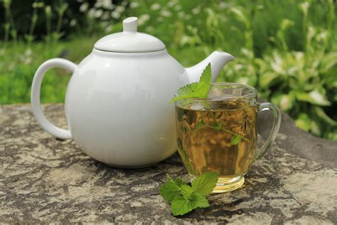 The Many Benefits of Herbal Tea – Trish Allan