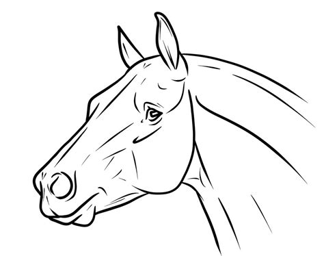 Simple Horse Head Drawing at GetDrawings | Free download