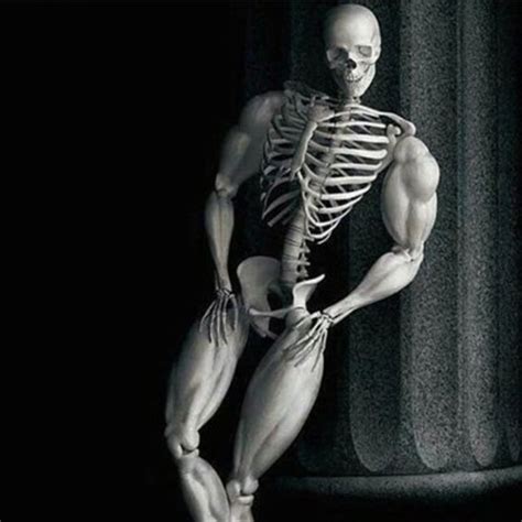 Thicc or Treat/ Buff Skeleton: Video Gallery | Know Your Meme