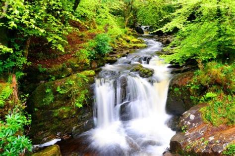 Serenity Rocks Beautiful Trees Greenery Fall Waterfall - Calm Waterfall ...