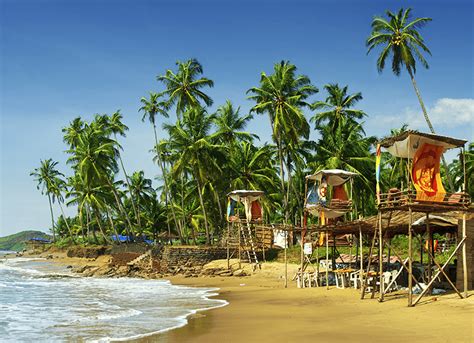 Top 10 Reasons to Visit Goa for an Unforgettable Vacation