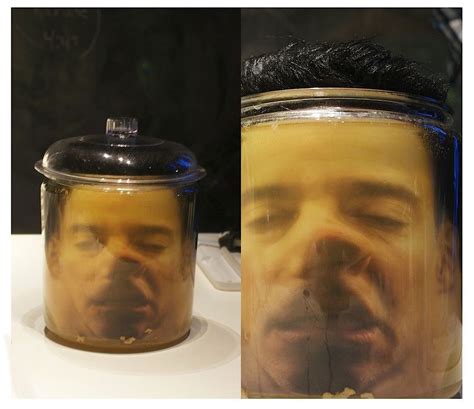 Head in a Jar Prank | Head in a jar, Halloween party decor, Pranks