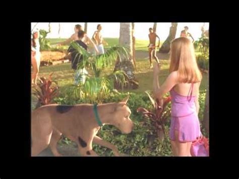 Scooby Doo Beach Party - YouTube | Scooby doo, Scooby, Beach party