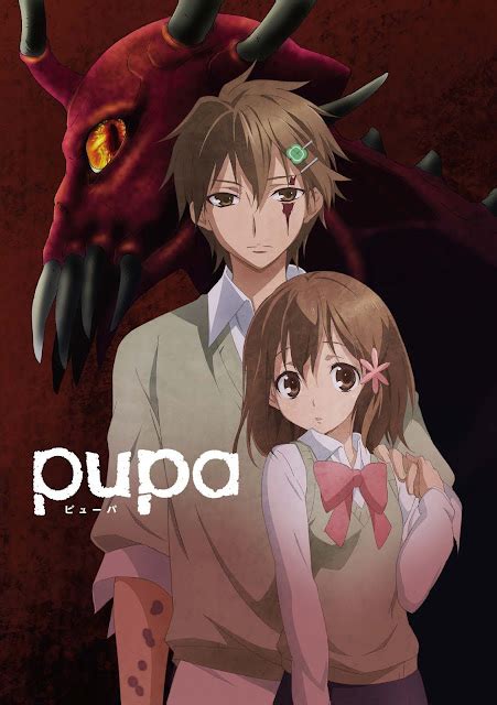 Pupa