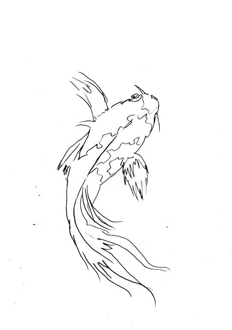 Koi Carp Sketch | Diane Antone Studio