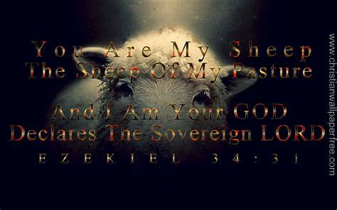 You Are My Sheep Ezekiel 34 Verse 31