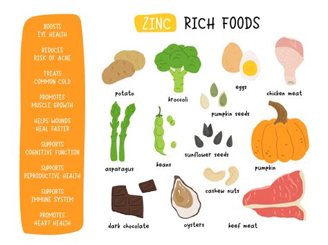 Zinc Rich Foods Chart Fruits Vegetables List, 57% OFF