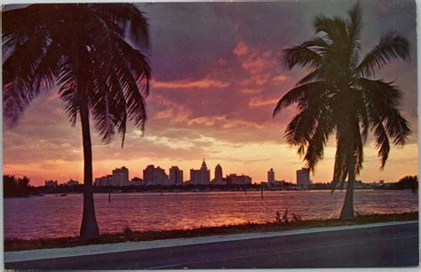 Sunset over Miami - skyline between Palm trees, Miami Florida | United ...