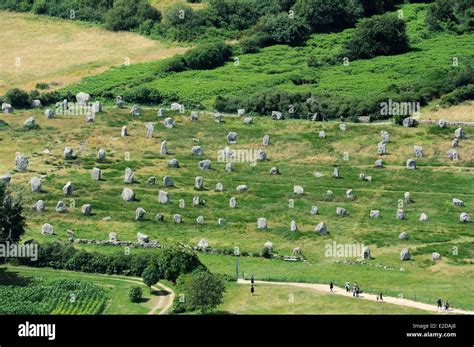 France, Morbihan, Carnac, row of megalithic standing stones at Menec ...