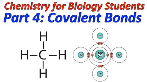 Basic Chemistry for Biology Part 4: Covalent Bonding and Structural ...