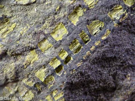 Carnotite Mineral Specimen For Sale