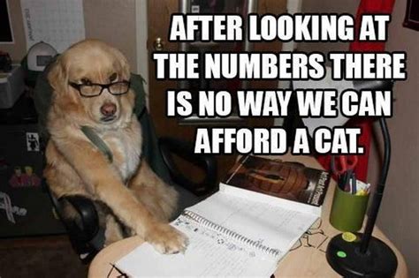 Ten Dog Memes You'll Get a Kick out Of