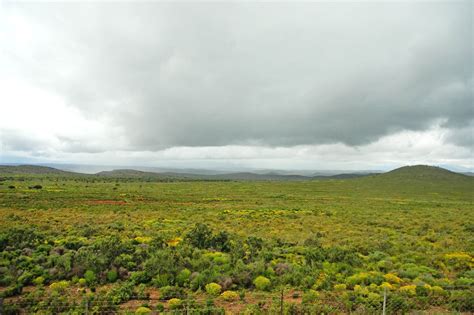 Karoo landscape Free Photo Download | FreeImages