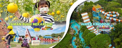 Mekarsari Taman Buah | The Largest Fruit Garden In The World