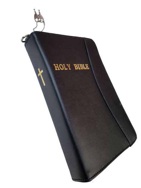 Bookshelf Bible Gun Case