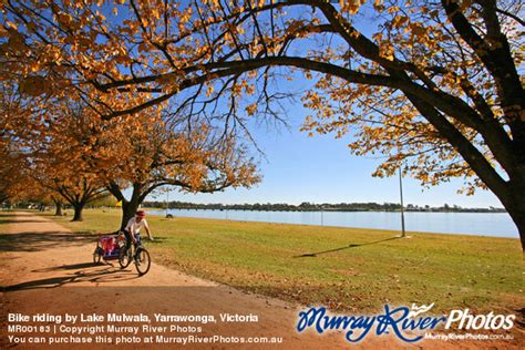 Bike riding by Lake Mulwala, Yarrawonga, Victoria