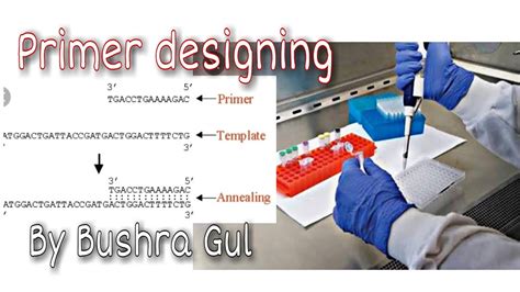 DNA primer designing | How to design primers for PCR using primer3 tool ...